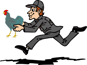 Wilmington-Courier-Service